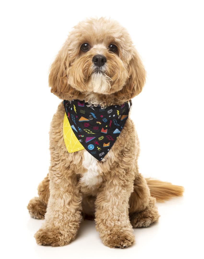 FuzzYard Bel Air Pet Bandana
