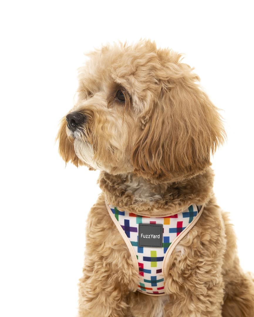 FuzzYard Step In Harness - Jenga