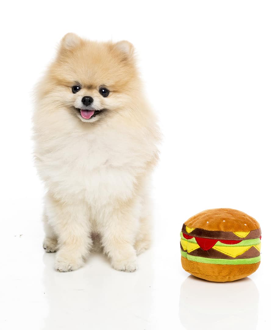 FuzzYard Dog Toy - Hamburger
