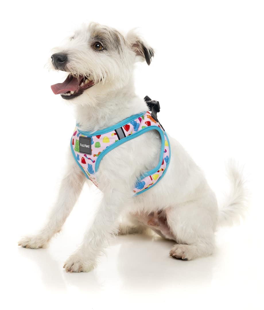 FuzzYard Step In Harness - Jelly Bears