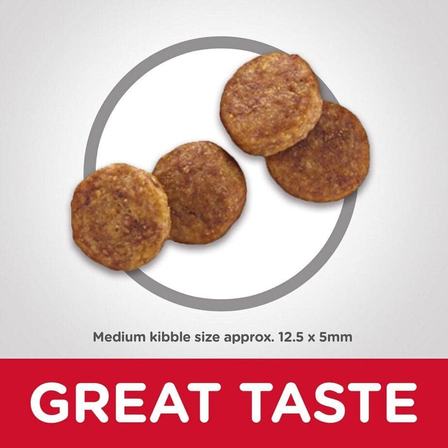 Hill's Science Diet Adult 7+ Senior Vitality Chicken & Rice Recipe dog food (2 Sizes) - Image 7