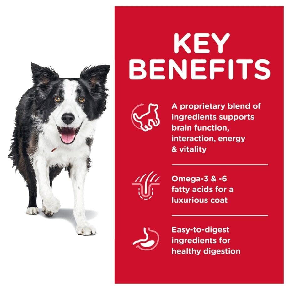 Hill's Science Diet Adult 7+ Senior Vitality Chicken & Rice Recipe dog food (2 Sizes) - Image 4