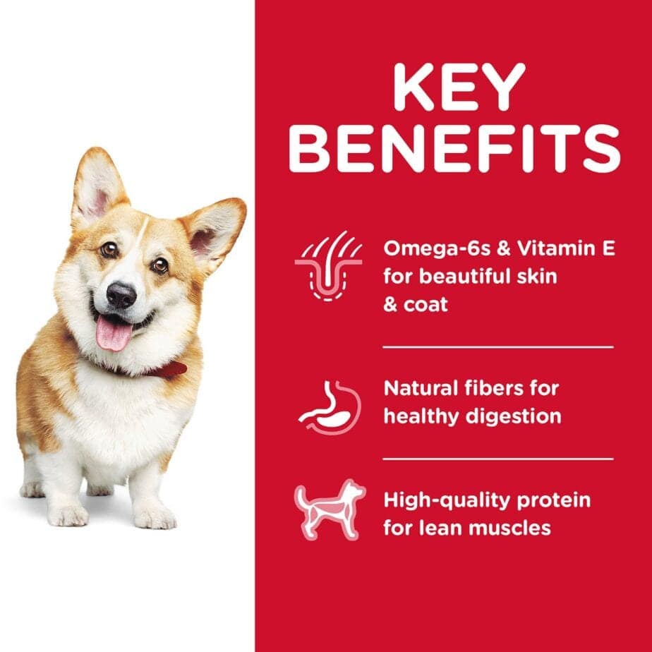 Hill's Science Diet Adult Small Bites Chicken & Barley Recipe dog food (3 Sizes) - Image 4