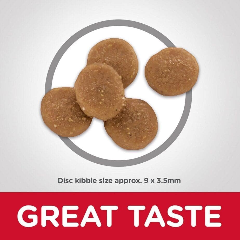 Hill's Science Diet Adult Sensitive Stomach & Skin cat food (2 Sizes) - Image 9