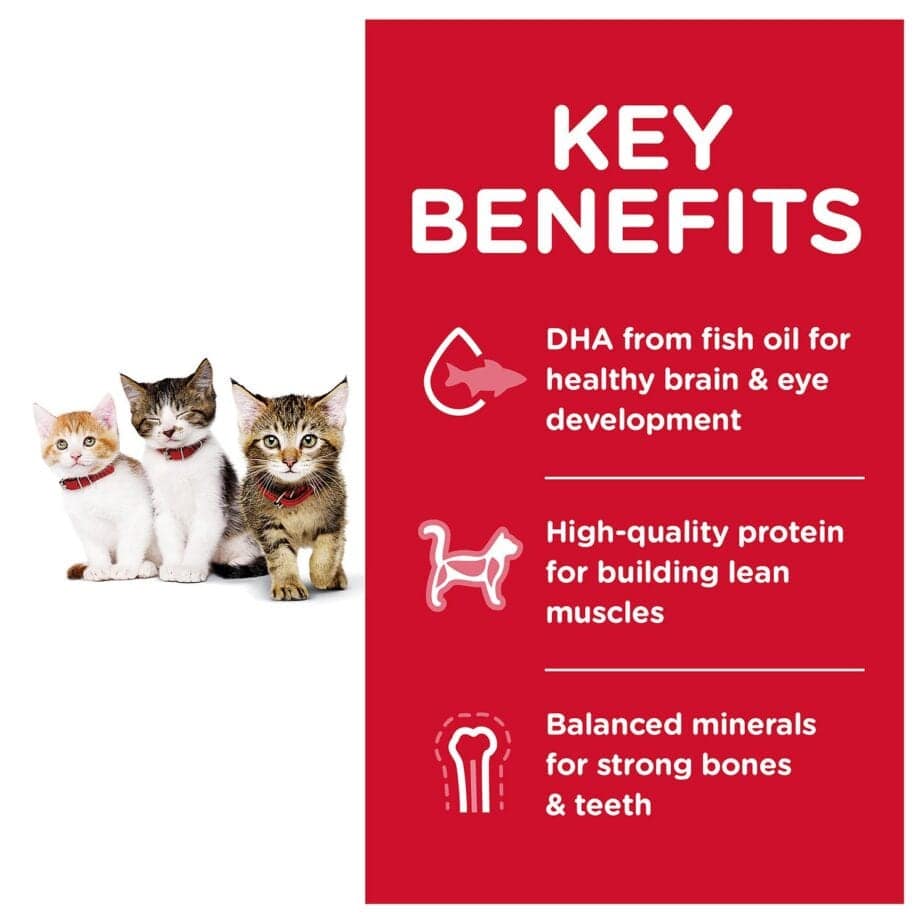 Hill's Science Diet Kitten Healthy Development Chicken Recipe (2 Sizes) - Image 4