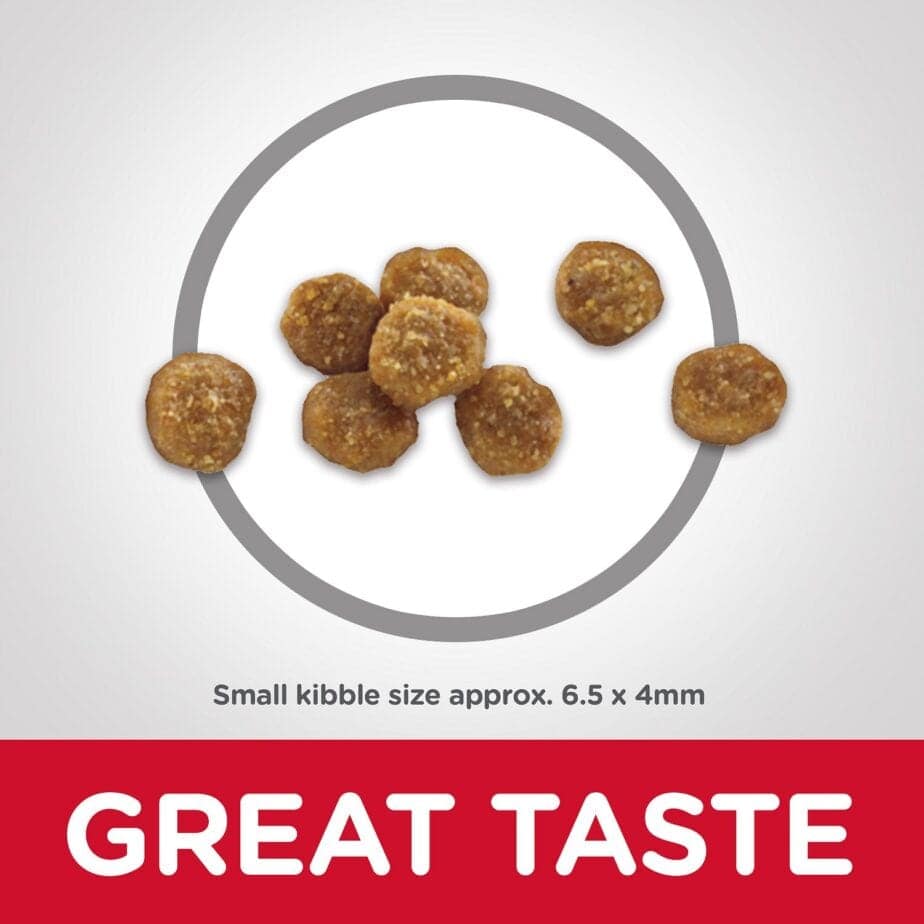 Hill's Science Diet Feline Mature Adult 11+ Dry Cat Food 1.6kg(3.5lbs) - Image 7