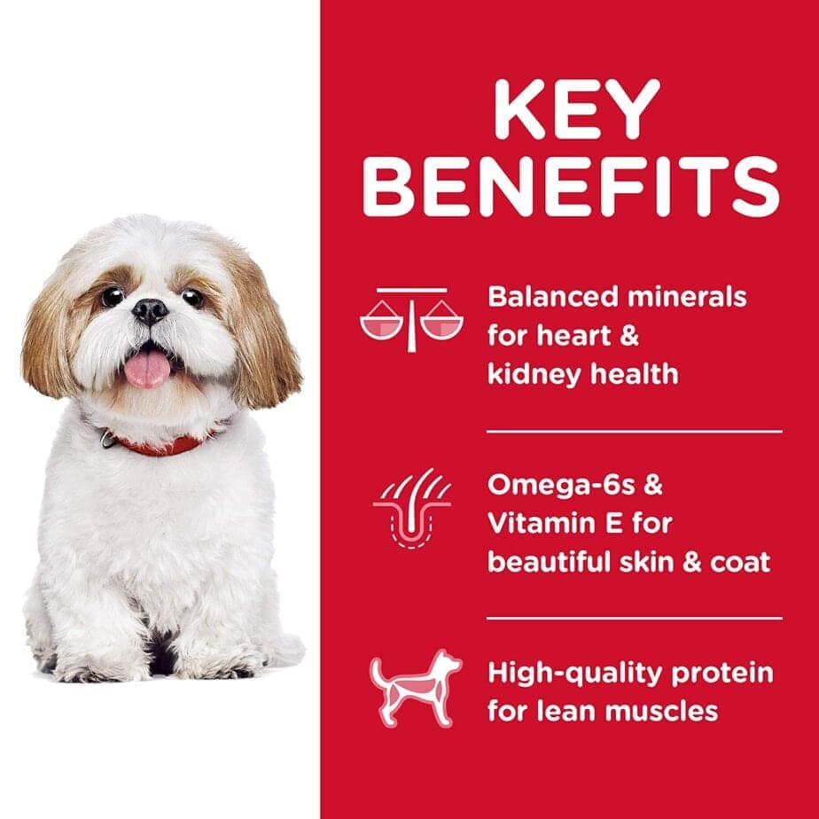 Hill's Science Diet Adult 7+ Small Bites Chicken Meal, Barley & Rice Recipe dog food (2 Sizes) - Image 3