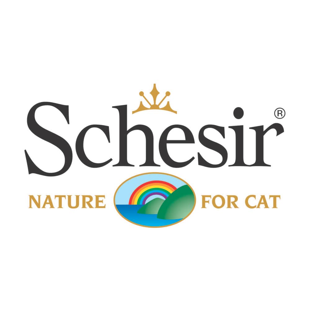 Schesir