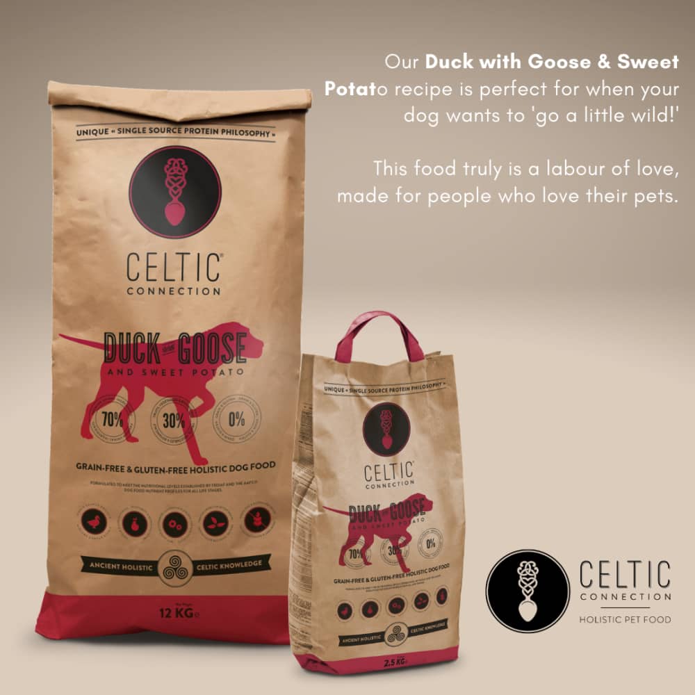 Celtic connection holistic dog food hotsell