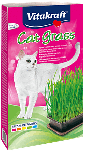 Cat Grass