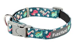 Dinosaur Land Collar