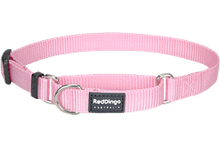 Red Dingo Martingale Half Check Collar - Pink