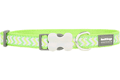 Red Dingo Bucklebone Reflective Ziggy Collar - Lime Green