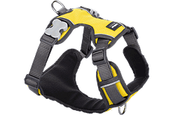 Red Dingo Padded Harness - Yellow