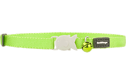 Red Dingo Kitten Classic Collar - Lime Green