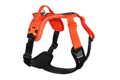 Non-stop Ramble Dog Harness