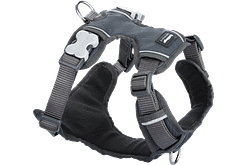 Red Dingo Padded Harness - Gray