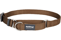 Red Dingo Martingale Half Check Collar - Brown