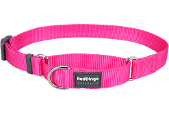 Red Dingo Martingale Half Check Collar - Hot Pink