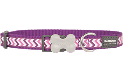 Red Dingo Bucklebone Reflective Ziggy Collar - Purple