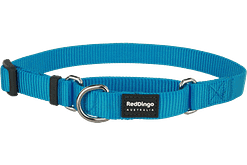 Red Dingo Martingale Half Check Collar - Turquoise