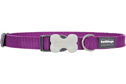 Red Dingo Bucklebone Classic Collar - Purple