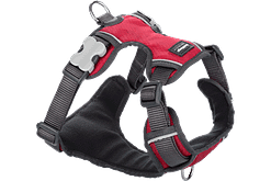 Red Dingo Padded Harness - Red