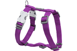 Red Dingo Classic Harness - Purple