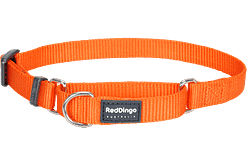 Red Dingo Martingale Half Check Collar - Orange