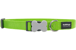 Red Dingo Bucklebone Classic Collar - Lime Green