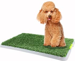 Pawise Green Trainer Replacement Grass Mat