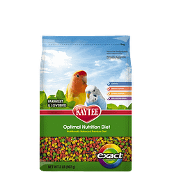 Kaytee Exact Parakeet / Lovebird Rainbow Bird Food 2lb