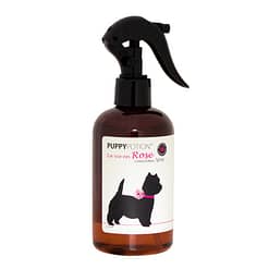 Doggy Potion Rose Conditioning Spray For Dogs 250ml