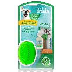 Fresh N’ Fun Dental Chew Toy