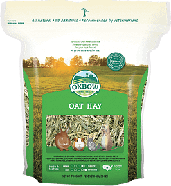 Oxbow Oat Hay for Small Animals 15oz