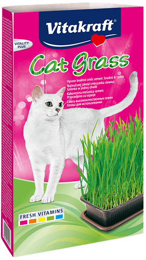 Cat Grass