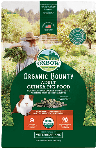 Oxbow Organic Bounty Food for Adult Guinea Pig