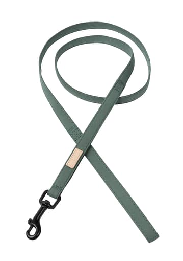 FuzzYard Life Dog Lead - Myrtle Green