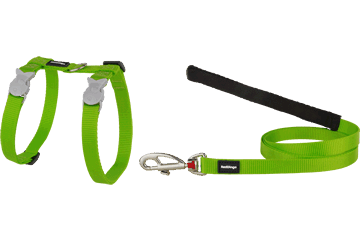 Red Dingo Cat Combo Classic - Harness & Lead - Lime Green