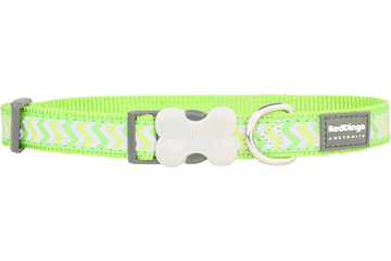 Red Dingo Bucklebone Reflective Ziggy Collar - Lime Green