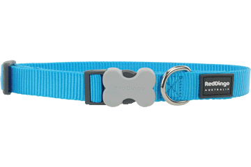 Red Dingo Bucklebone Classic Collar - Turquoise