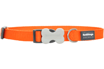 Red Dingo Bucklebone Classic Collar - Orange