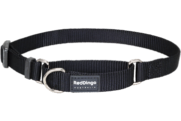 Red Dingo Martingale Half Check Collar - Black