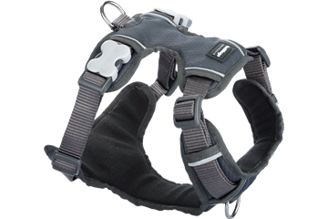 Red Dingo Padded Harness - Gray