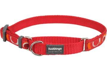 Red Dingo Martingale Half Check Collar - Red