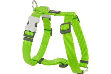 Red Dingo Classic Harness - Lime Green