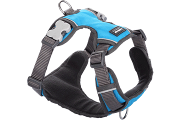 Red Dingo Padded Harness - Turquoise