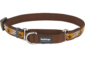 Red Dingo Martingale Collar Monty Brown