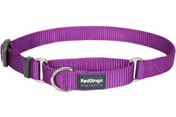 Red Dingo Martingale Half Check Collar - Purple