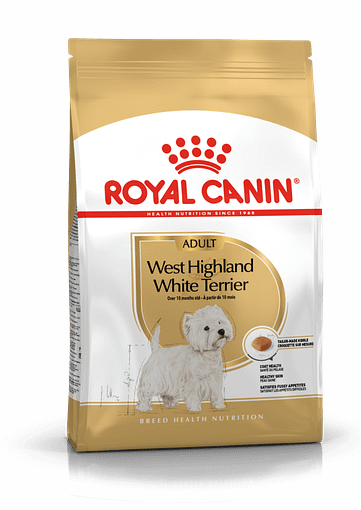Best dog food for golden retriever 2018 clearance